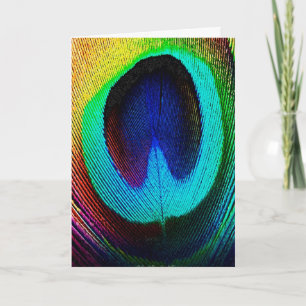 Vibrant Peacock Feather Card