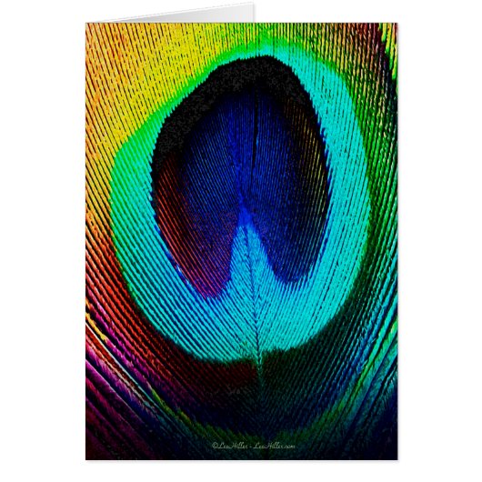 Vibrant Peacock Feather Cards (Front)