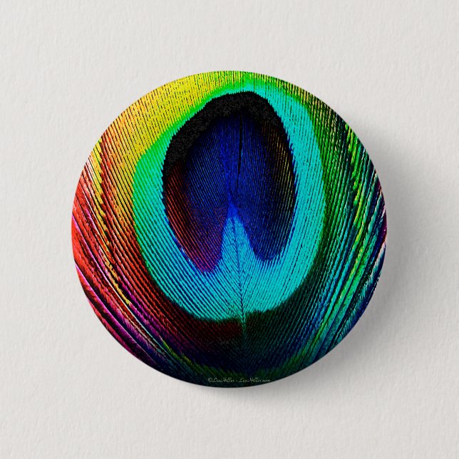 Vibrant Peacock Feather Pinback Button (Front)