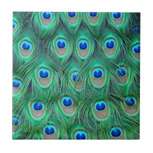 Vibrant Peacock Feathers Ceramic Tile