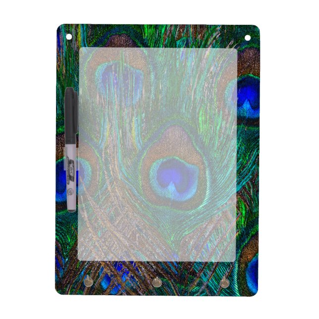 Vibrant Peacock Feathers Etching Style Decor Dry Erase Board (Front)