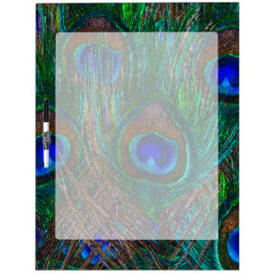 Vibrant Peacock Feathers Etching Style Decor Dry-Erase Board
