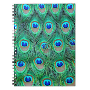 Vibrant Peacock Feathers Notebook