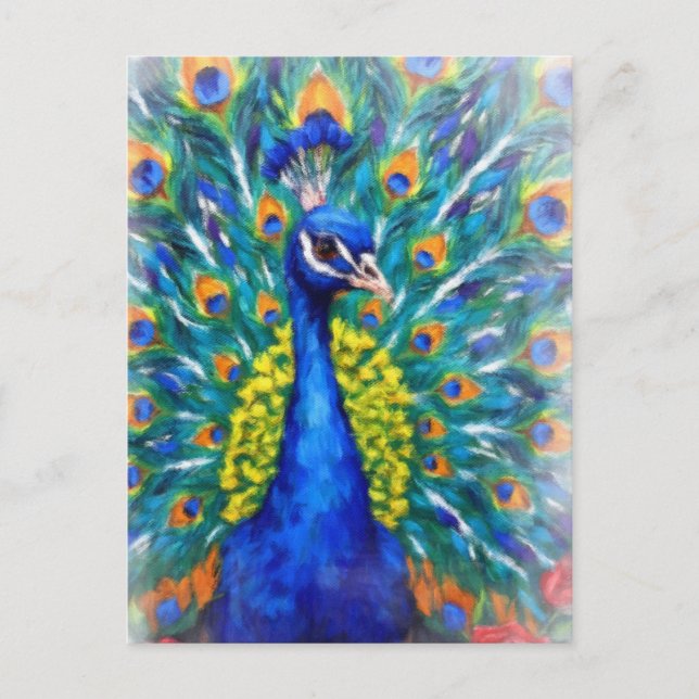 Vibrant Peacock Postcard (Front)