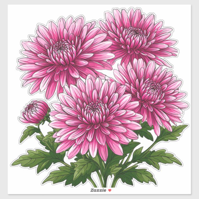 Vibrant Pink Chrysanthemums Blooming Sticker (Sheet)