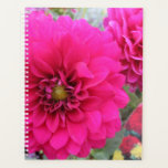Vibrant pink dahlia. planner<br><div class="desc">Taken at a local garden centre.</div>