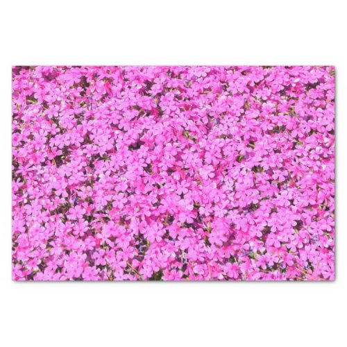 Vibrant Pink Floral Tissue Paper