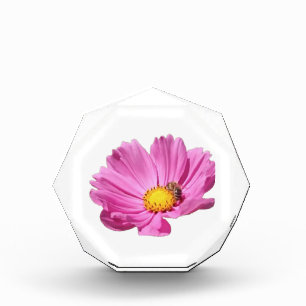 Vibrant Pink Flower With A Bee On A Summer Day Cut Acrylic Award