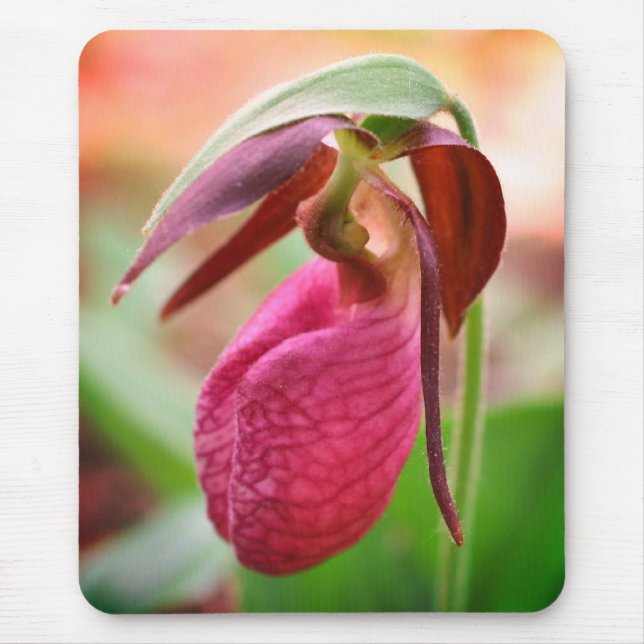 Vibrant Pink Lady Slipper Orchid Flower  Mouse Pad (Front)