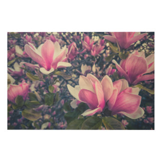 Vibrant Pink Magnolia Blossoms  Wood Wall Art