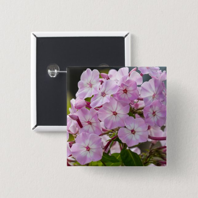 Vibrant Pink Phlox Botanical Button (Front & Back)