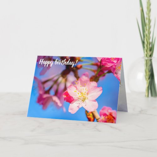 Vibrant Pink Sakura Blossoms And Clear Blue Sky Card