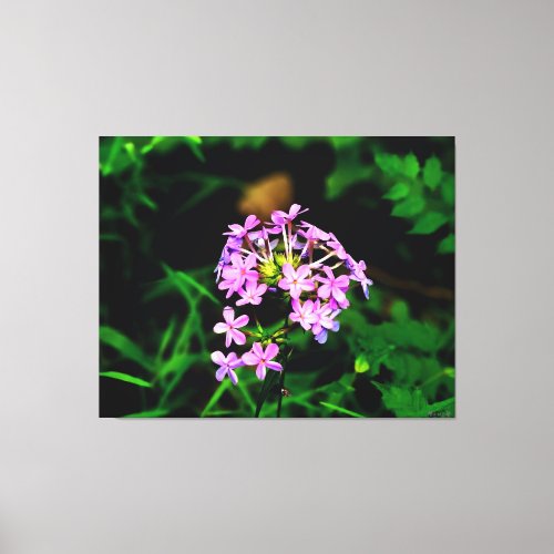 Vibrant Pink Wildflower Canvas Print