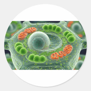 Vibrant Plant Cell Classic Round Sticker