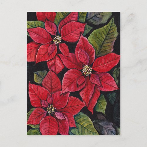 Vibrant Poinsettias In Watercolor   Postcard