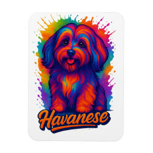 Vibrant Pop Art Havanese Dog – Colorful Street Art Magnet