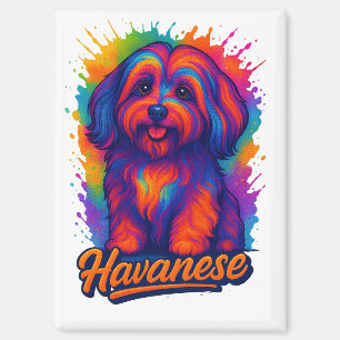 Vibrant Pop Art Havanese Dog – Colorful Street Art Magnet