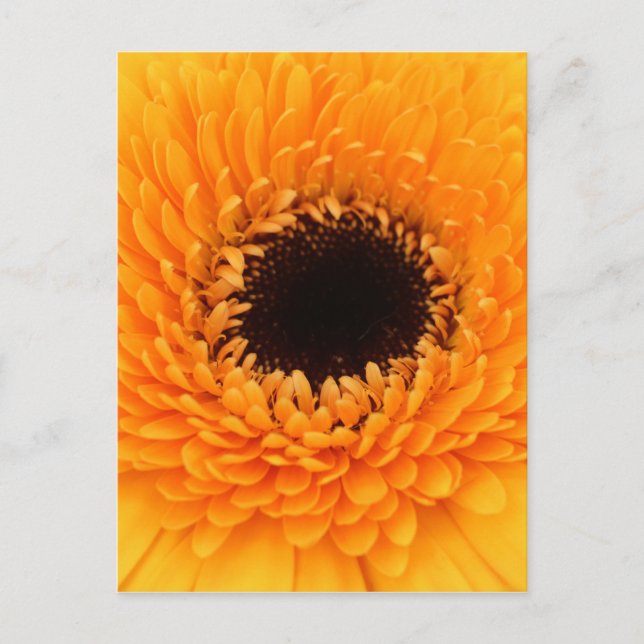 Vibrant Postcard (Front)