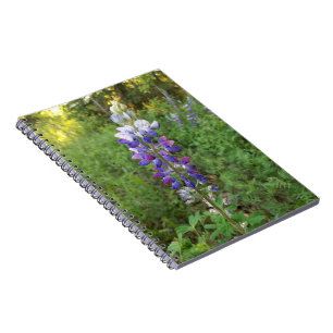 Vibrant Purple Bloom Spiral Notebook