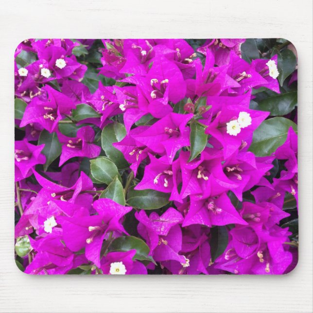 Vibrant Purple Bougainvillea Flowers Mouse Pad (Front)