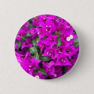 Vibrant Purple Bougainvillea flowers Pinback Button