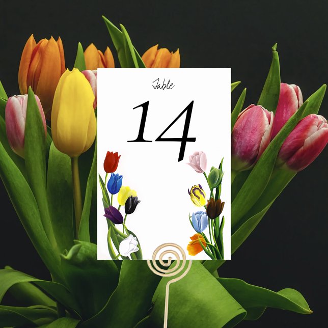 Vibrant Rainbow Minimalist Tulip LGBTQ+  Table Number (Creator Uploaded)