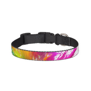 Vibrant Rainbow Paint Splatter Explosion Pet Collar