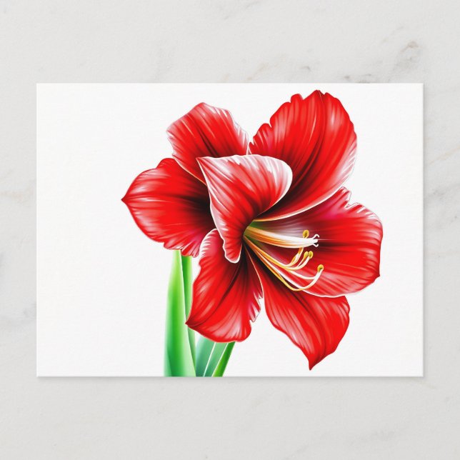 Vibrant Red Amaryllis in Watercolor  Postcard (Front)