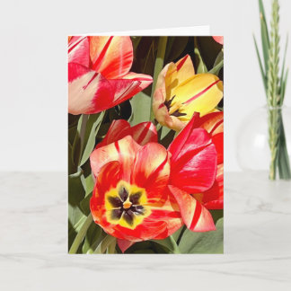 Vibrant Red and Yellow Tulip Photography Blank Card