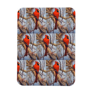 Vibrant Red ardinal Bird Perched on Branch Magnet