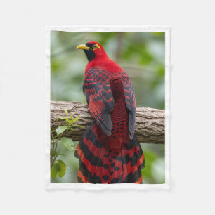 Vibrant Red Bird on Branch Blanket