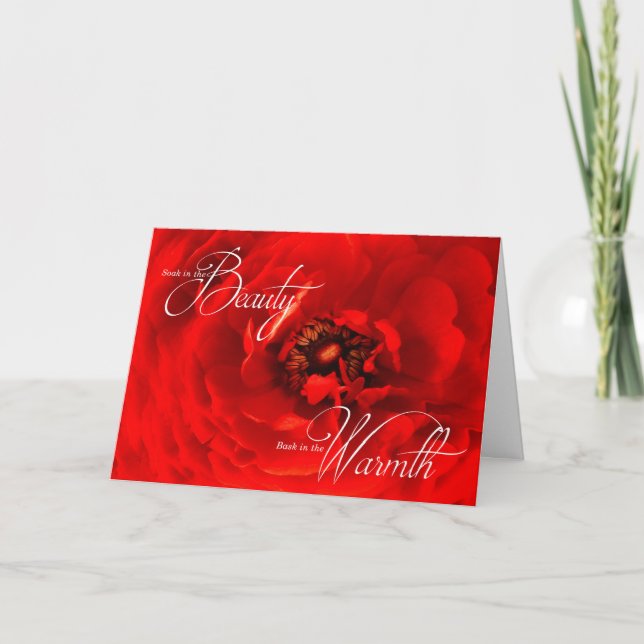 Vibrant Red Macro Flower Photograph Birthday Card (Front)