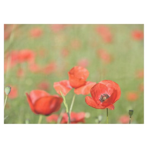 Vibrant red poppies in a green poppy field tablecloth