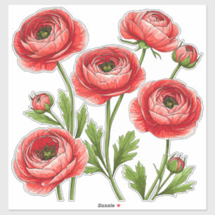 Vibrant Red Ranunculus Bouquet With Green Stems Sticker