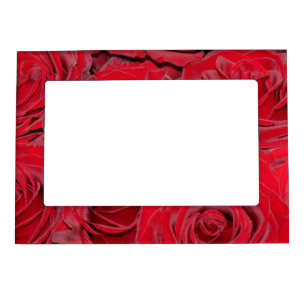 Vibrant Red Roses Magnetic Frame