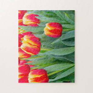 Vibrant Red & Yellow Tulips in Spring Garden Jigsaw Puzzle