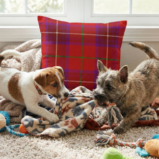 Vibrant Scottish Plaid - Rose Clan Tartan Throw Pillow