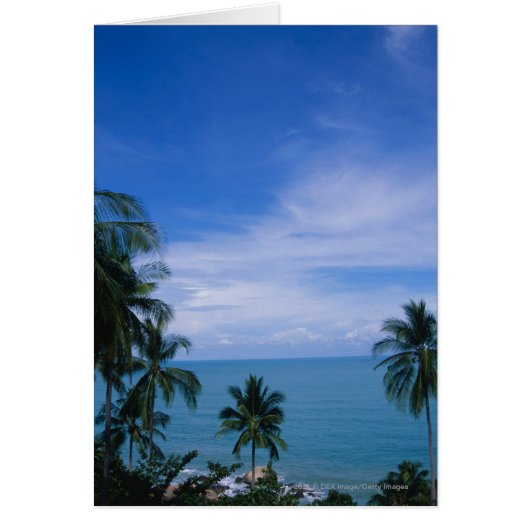 Vibrant shoreline cards (Front)