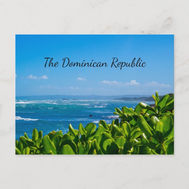 Vibrant Shores Postcard (Front)