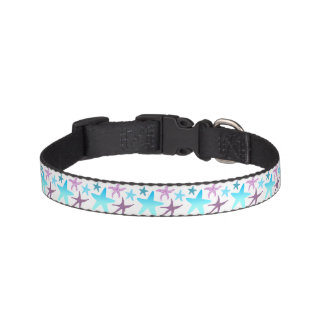 Vibrant Starfish Dog Collar