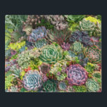 Vibrant Succulent Garden Jigsaw Puzzle<br><div class="desc">Colorful and vibrant succulents displayed at the garden show.</div>