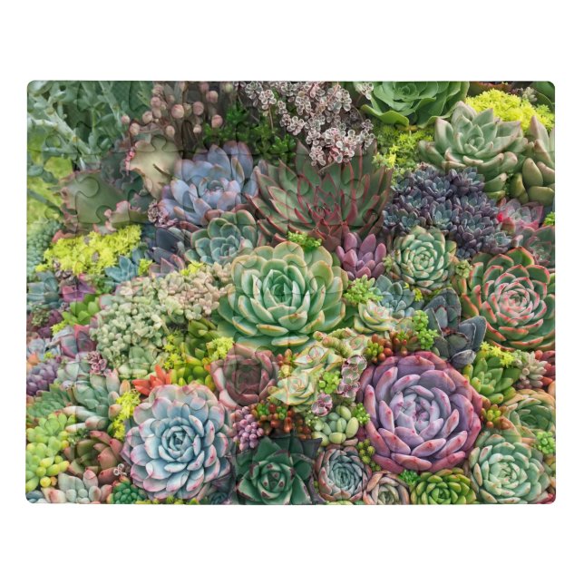 Vibrant Succulent Garden Jigsaw Puzzle (Puzzle Horizontal)