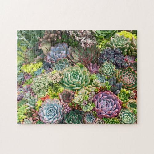 Vibrant Succulent Garden Jigsaw Puzzle
