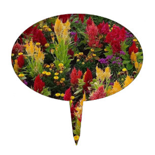 Vibrant Summer Flower Garden in Orlando Florida Cake Topper