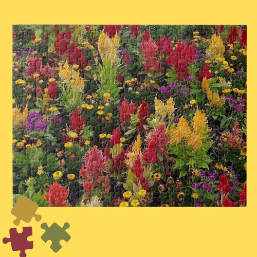 Vibrant Summer Flower Garden in Orlando Florida Jigsaw Puzzle