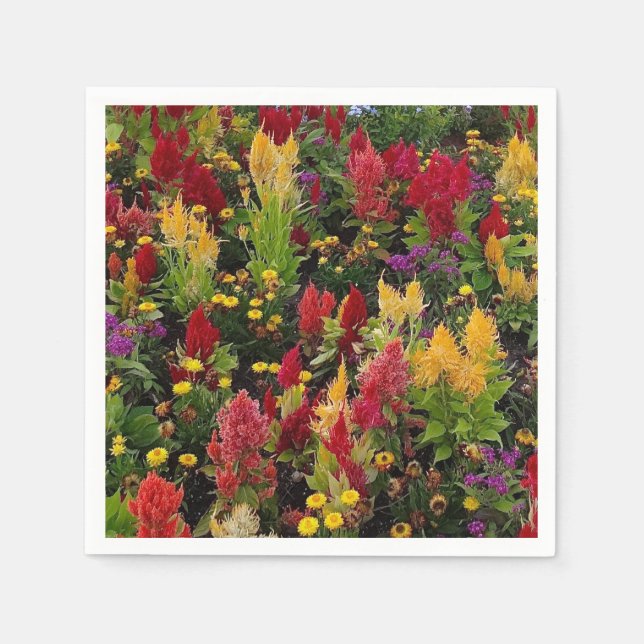 Vibrant Summer Flower Garden in Orlando Florida Paper Napkins (Front)