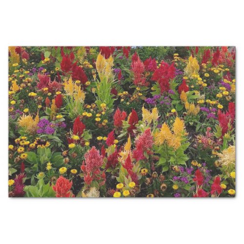 Vibrant Summer Flower Garden in Orlando Florida Tissue Paper