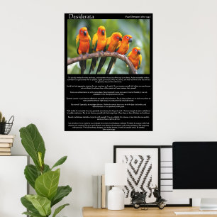 Vibrant Sun Tropical Parrot Inspiration Poster