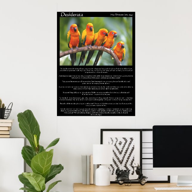 Vibrant Sun Tropical Parrot Inspiration Poster (Home Office)