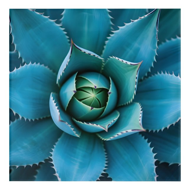 Vibrant Teal Agave Succulent Macro Geometric  Acrylic Print (Front)